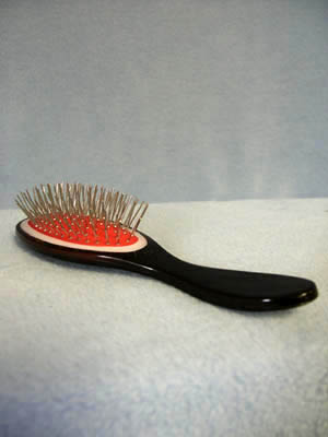 Brushes
