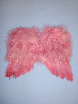 Angel Wings