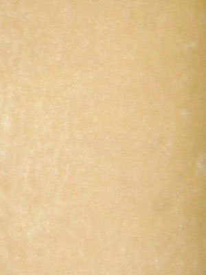 Europa Suede
