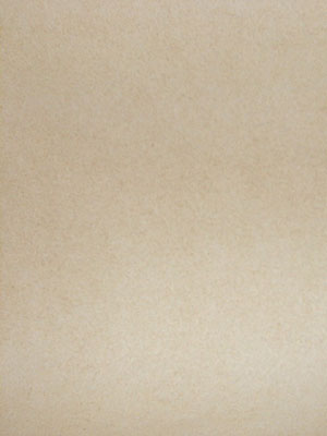 Charisma Suede