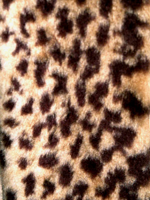 Animal Print