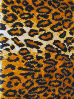 Animal Print