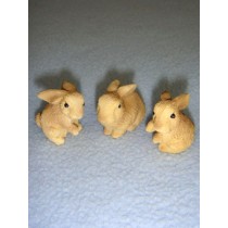 l1" Miniature Rabbits