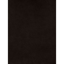 Chocolate Soft Cuddle Solid Fabric - 1 Yd