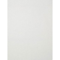 White Cuddle Short Fabric - 1 Yd