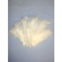 White Fluffy Turkey Feathers