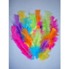 Assorted Neon Feathers