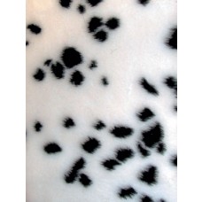 Fur - Short Pile - Dalmatian