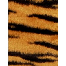 Fur - Short Pile - Tiger Stripe