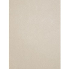 Ivory Cuddle Short Fabric - 1 Yd