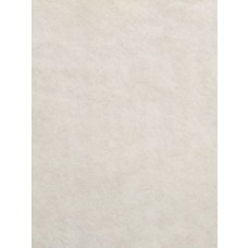 Ivory Soft Cuddle Solid Fabric - 1 Yd