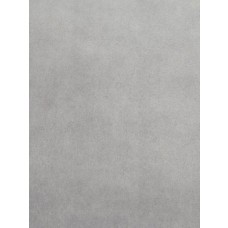 Silver Cuddle Short Fabric - 1 Yd