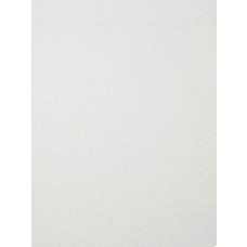 White Cuddle Short Fabric - 1 Yd