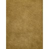 Camel Beaver Fur Fabric - 1 Yd