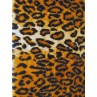 Fur - Cheetah