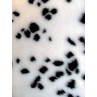 Fur - Short Pile - Dalmatian