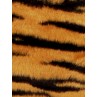 Fur - Short Pile - Tiger Stripe