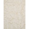 Ivory Soft Cuddle Crush Fabric - 1 Yd
