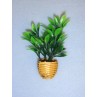 lMini Potted Green Plant
