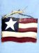 10" Wooden Flag Plaque