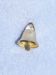 lBell - 3/8" Liberty - Gold Pkg/12