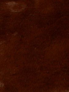 Acrylic/Poly Blend  Fur - Plush - Chocolate Brown