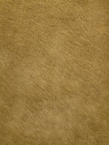 Camel Beaver Fur Fabric - 1 Yd