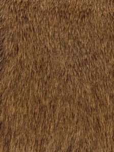 Fur - Teddy Bear - Grizzly