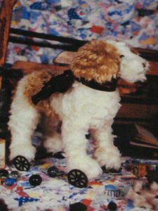 Pull Toy Terrier Pattern - 15"